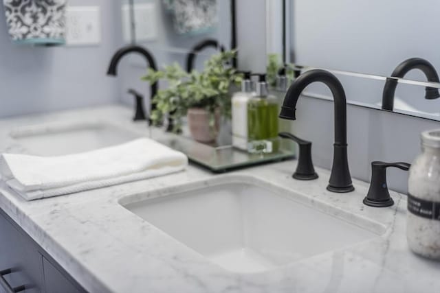 interior details featuring a sink