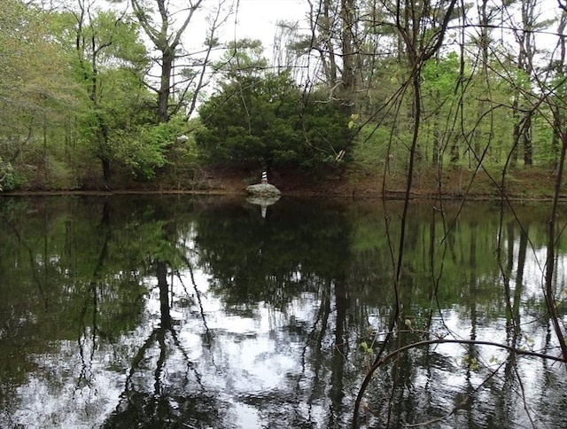 64 E Main St, Middleboro, MA 02346 - water view featuring a heavily wooded area