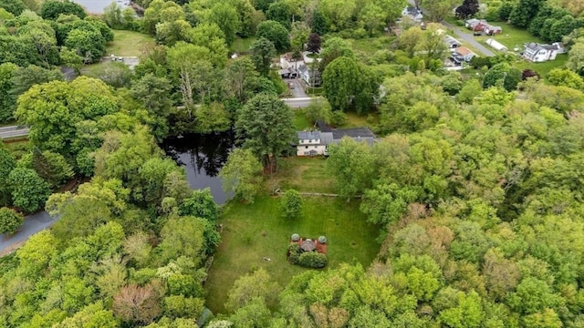 64 E Main St, Middleboro, MA 02346 - aerial view of property and surrounding area