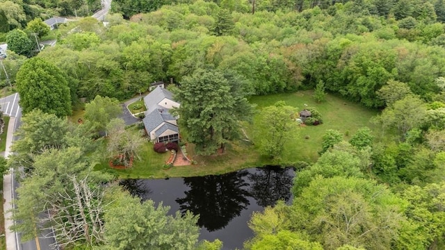 64 E Main St, Middleboro, MA 02346 - bird's eye view of a large body of water and a forest