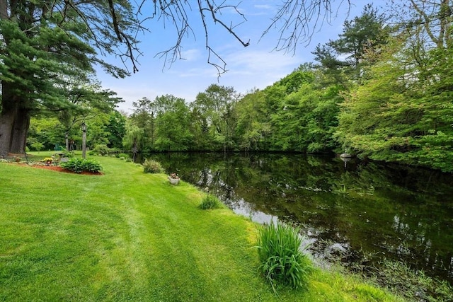 64 E Main St, Middleboro, MA 02346 - water view featuring a forest