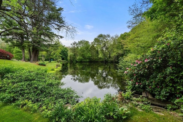 64 E Main St, Middleboro, MA 02346 - water view featuring a forest
