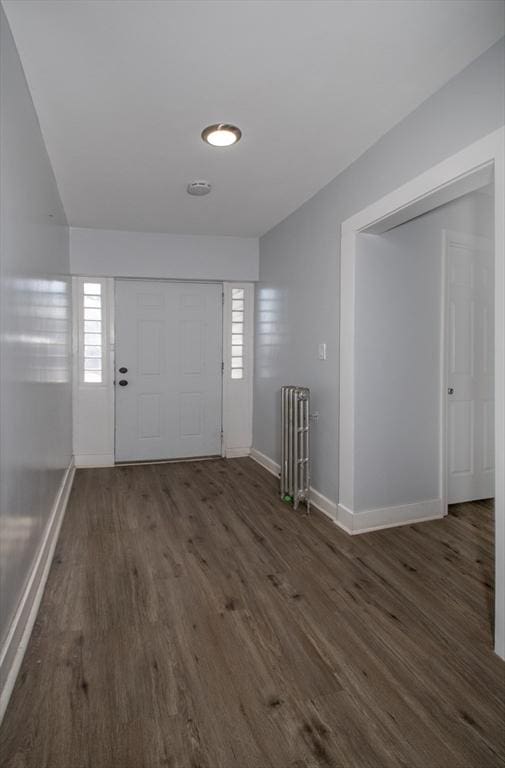 entrance foyer with a healthy amount of sunlight, baseboards, and wood finished floors