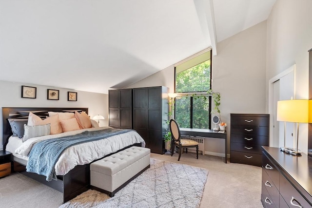 7 Longwood Dr Unit 212, Andover, MA 01810 - bedroom with light colored carpet, radiator heating unit, a desk, and high vaulted ceiling