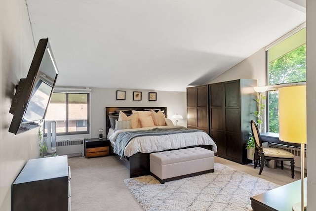 7 Longwood Dr Unit 212, Andover, MA 01810 - bedroom with radiator heating unit, light colored carpet, and vaulted ceiling