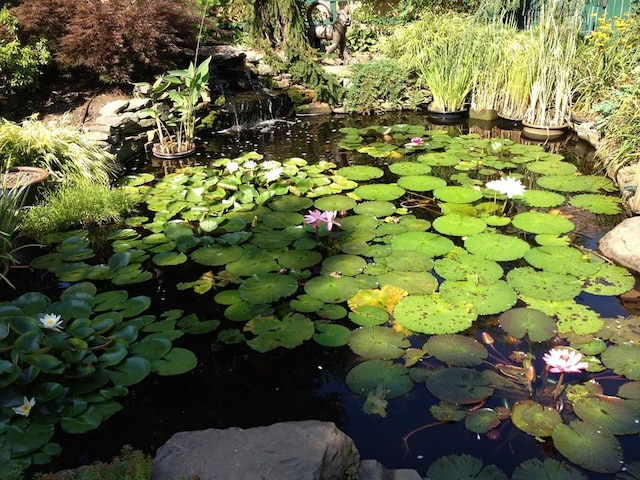 exterior space featuring a garden pond