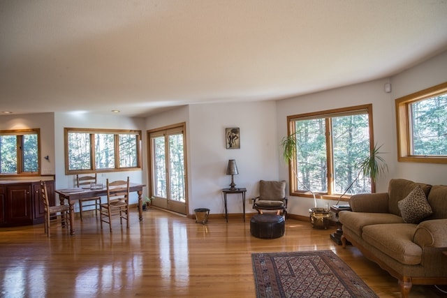 living room featuring light hardwood / wood-style flooring