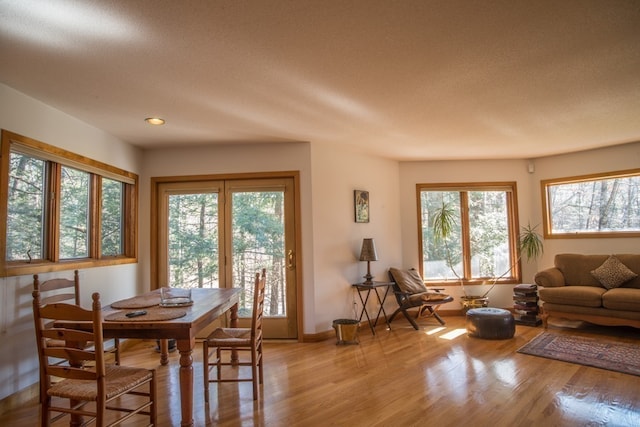 dining area featuring plenty of natural light, a textured ceiling, and light hardwood / wood-style flooring