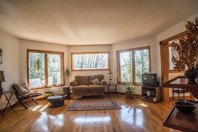 living room featuring a textured ceiling and light wood-type flooring