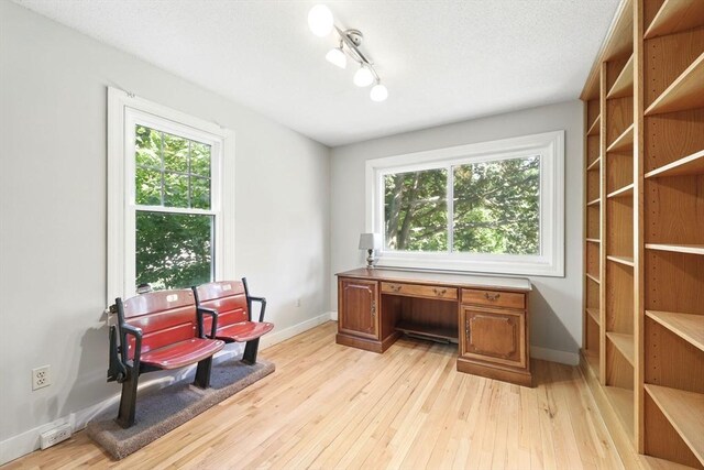 2 Silverwood Ter, South Hadley, MA 01075 - home office featuring light wood-style flooring, plenty of natural light, and baseboards