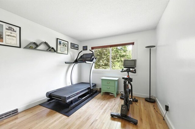 2 Silverwood Ter, South Hadley, MA 01075 - workout room featuring light wood-type flooring, a baseboard heating unit, baseboards, and a textured ceiling
