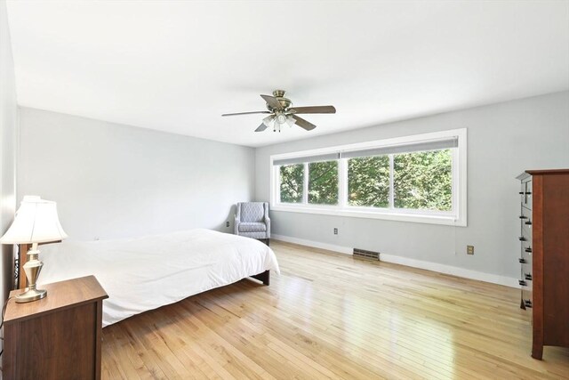 2 Silverwood Ter, South Hadley, MA 01075 - bedroom featuring light wood-style flooring, baseboards, and ceiling fan