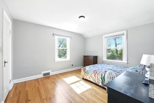 2 Silverwood Ter, South Hadley, MA 01075 - bedroom featuring lofted ceiling, wood finished floors, and baseboards