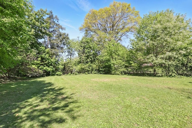 2 Silverwood Ter, South Hadley, MA 01075 - view of grassy yard