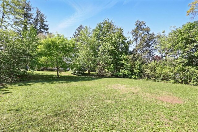 2 Silverwood Ter, South Hadley, MA 01075 - view of grassy yard