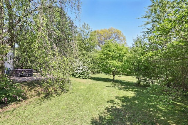 2 Silverwood Ter, South Hadley, MA 01075 - view of grassy yard