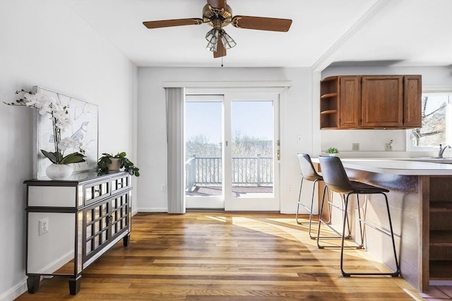 interior space featuring ceiling fan and light wood-type flooring