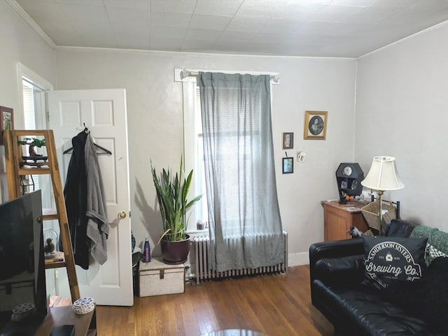12-14 Essex St, Dover, NH 03820 - living room featuring radiator, ornamental molding, and wood finished floors