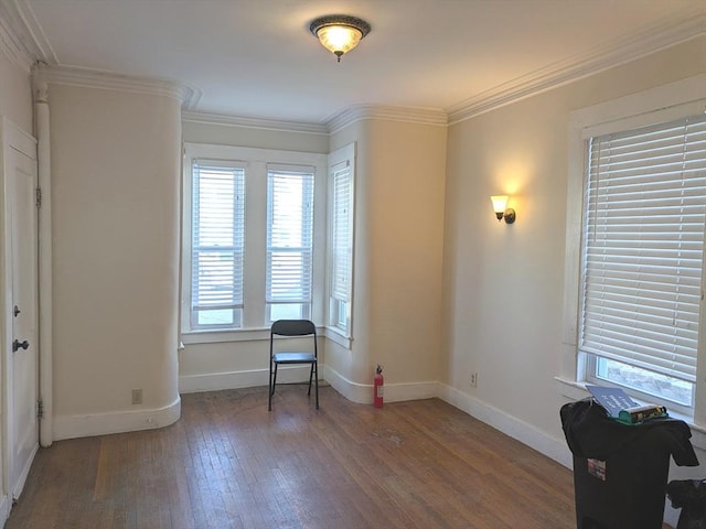 12-14 Essex St, Dover, NH 03820 - sitting room featuring hardwood / wood-style floors, ornamental molding, and baseboards