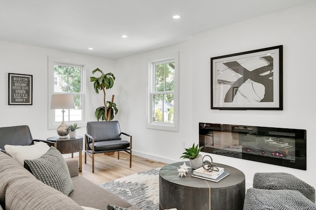 living room with light wood-type flooring