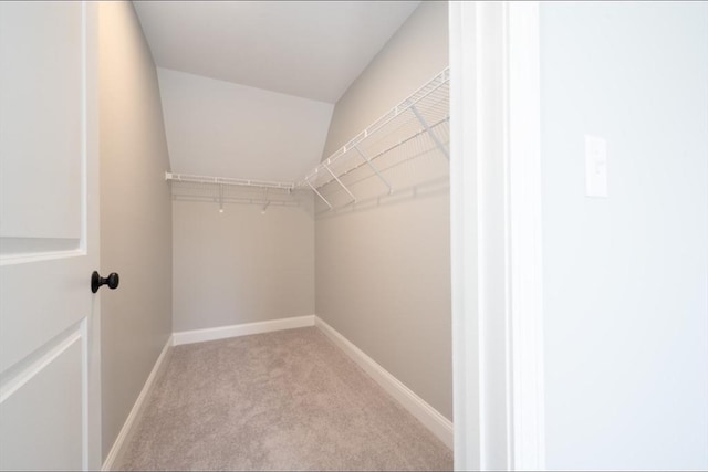 walk in closet with carpet flooring