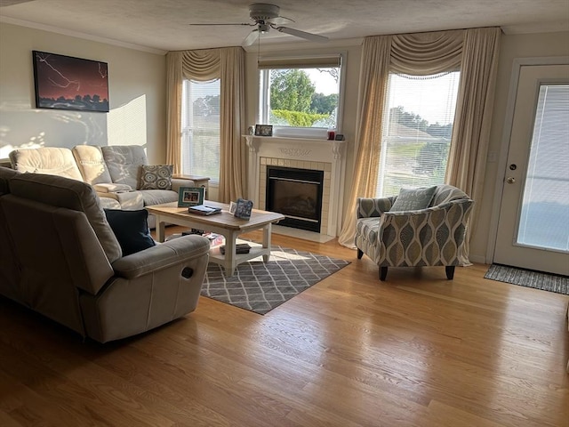 38 Bay Pointe Dr Unit 38, Wareham, MA 02532 - living room featuring crown molding, ceiling fan, a fireplace, and wood finished floors