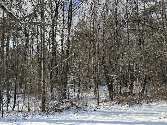 view of snow covered land