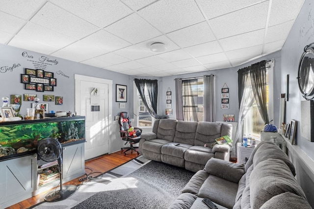 living room featuring a drop ceiling and hardwood / wood-style flooring