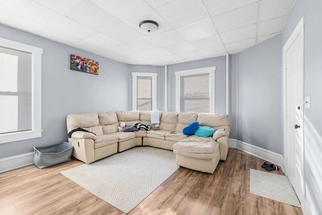 living room featuring a paneled ceiling and hardwood / wood-style flooring