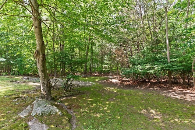 133 Allen Rd, Easton, MA 02356 - view of woods