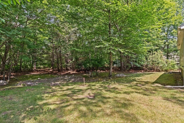 133 Allen Rd, Easton, MA 02356 - view of grassy yard with a wooded view