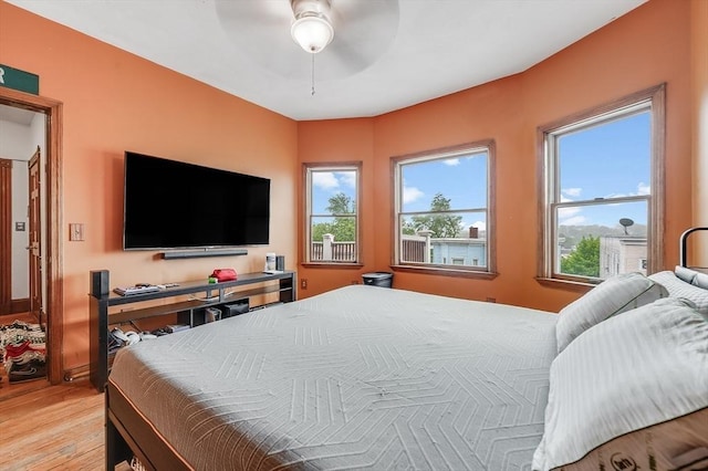 71 Draper St, Boston, MA 02122 - bedroom with light wood-type flooring, multiple windows, and a ceiling fan