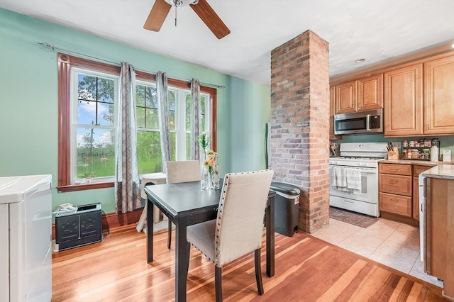 71 Draper St, Boston, MA 02122 - dining area featuring ceiling fan, light wood-type flooring, and washer / clothes dryer