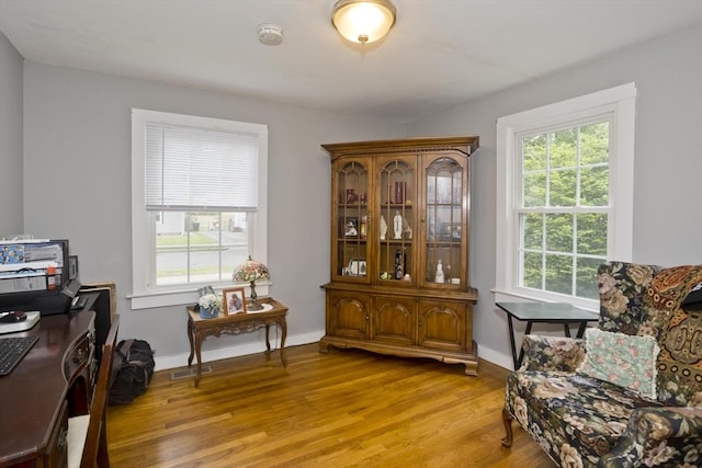 156 Powell, Springfield, MA 01118 - office with plenty of natural light, light wood-style flooring, and baseboards