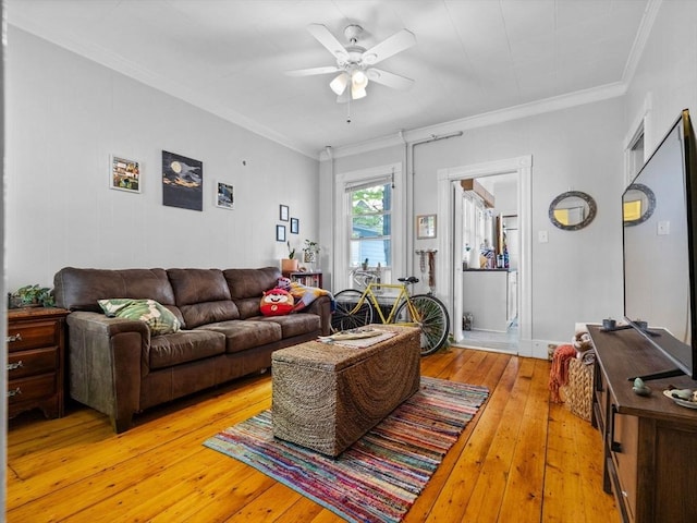 19 Tufts St, Somerville, MA 02145 - living room featuring light wood-style flooring, a ceiling fan, and ornamental molding