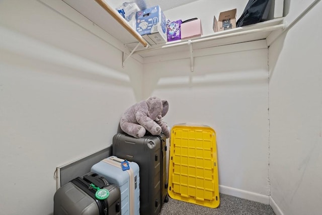 spacious closet featuring carpet floors