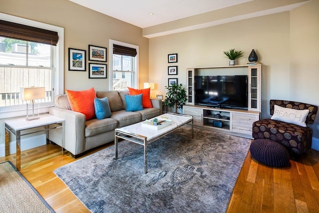 living room featuring hardwood / wood-style flooring and a wealth of natural light