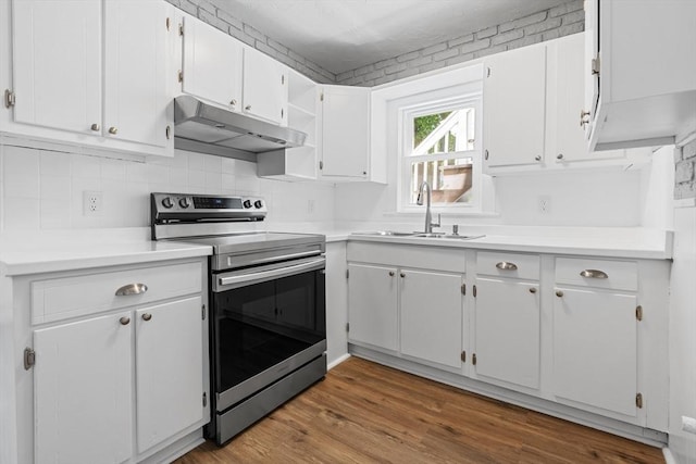 kitchen featuring stainless steel electric range oven, under cabinet range hood, a sink, and white cabinetry