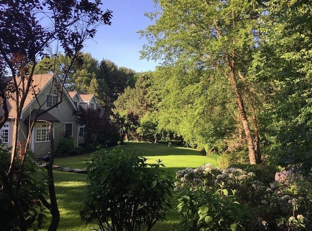 20 Hillery Rd, Leominster, MA 01453 - view of green lawn