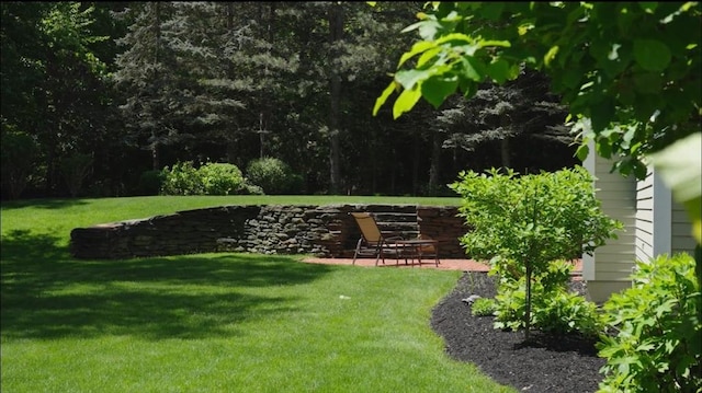 20 Hillery Rd, Leominster, MA 01453 - view of grassy yard