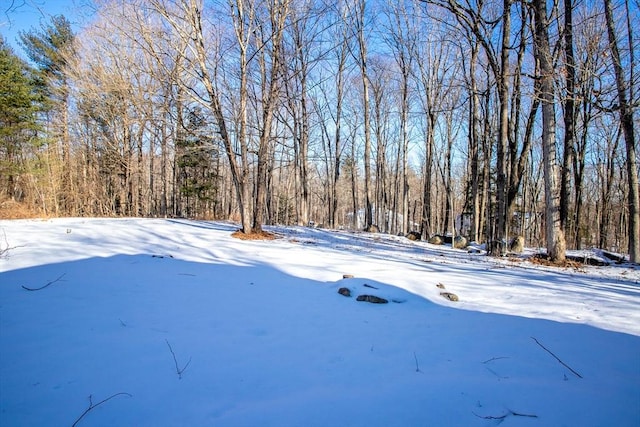 yard covered in snow with a forest view