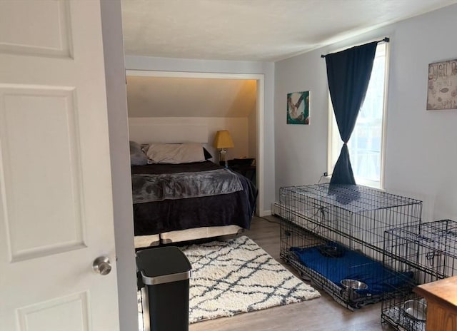 bedroom featuring multiple windows and hardwood / wood-style flooring