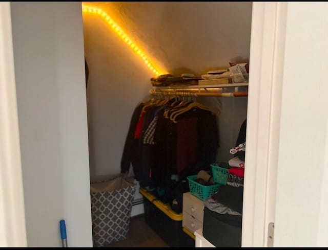 view of walk in closet