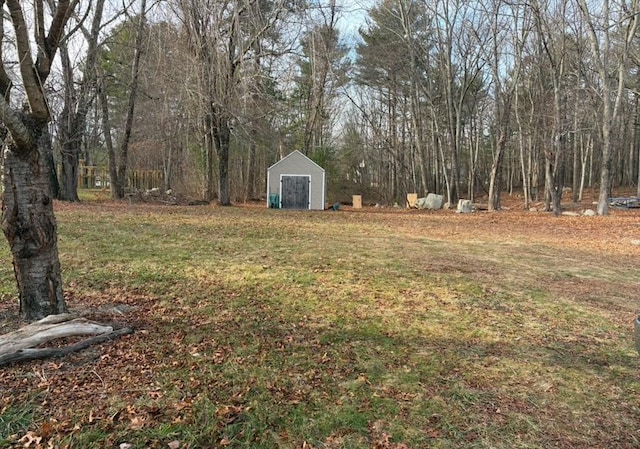 view of yard featuring a storage unit