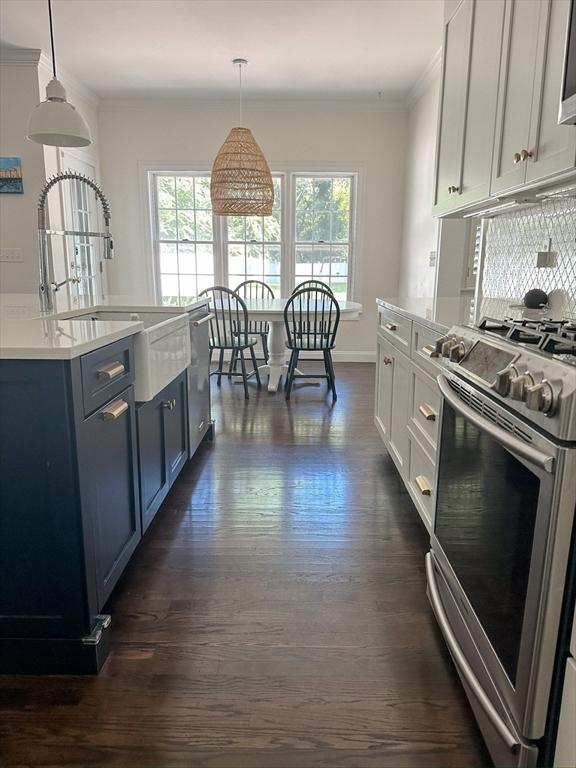 kitchen featuring dark wood-style floors, stainless steel appliances, a healthy amount of sunlight, and ornamental molding
