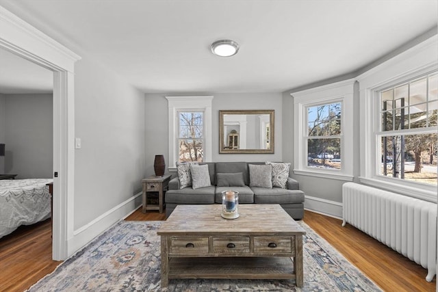 living room with a healthy amount of sunlight, radiator, and light wood-type flooring