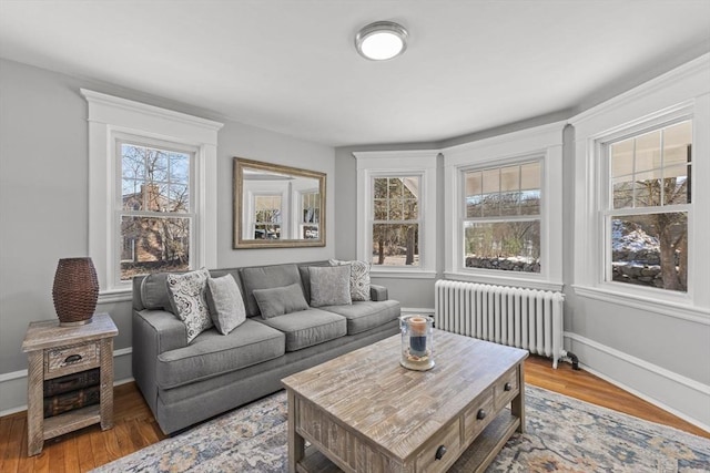 living room with radiator heating unit, wood-type flooring, and a wealth of natural light