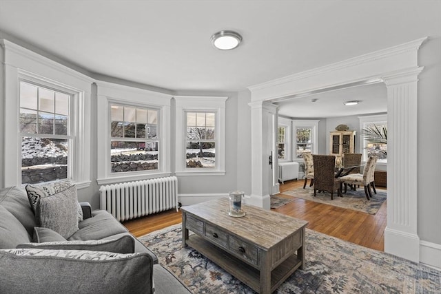 living room featuring decorative columns, radiator, and light hardwood / wood-style floors