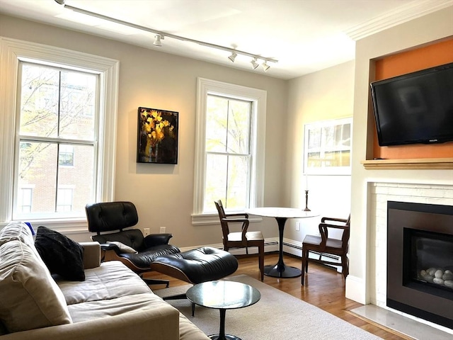 living room with track lighting, a fireplace with flush hearth, wood finished floors, and a healthy amount of sunlight