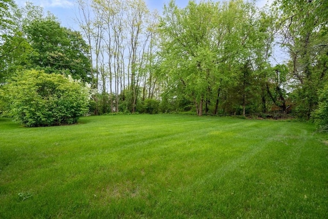 75 Haynes Rd, Sudbury, MA 01776 - view of grassy yard